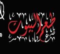 Taam Elbiot logo