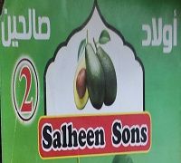 Salheen Sons logo
