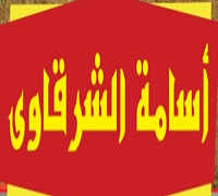 Osama Elsharkawy logo