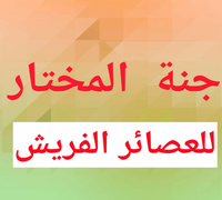 Janet El Mokhtar logo