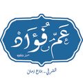 Am Fouad logo